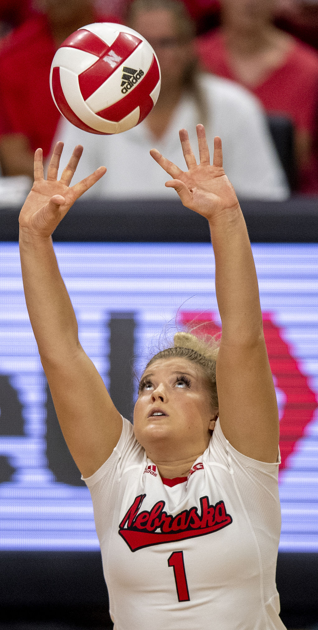 NU volleyball vs. Stanford, 9.18